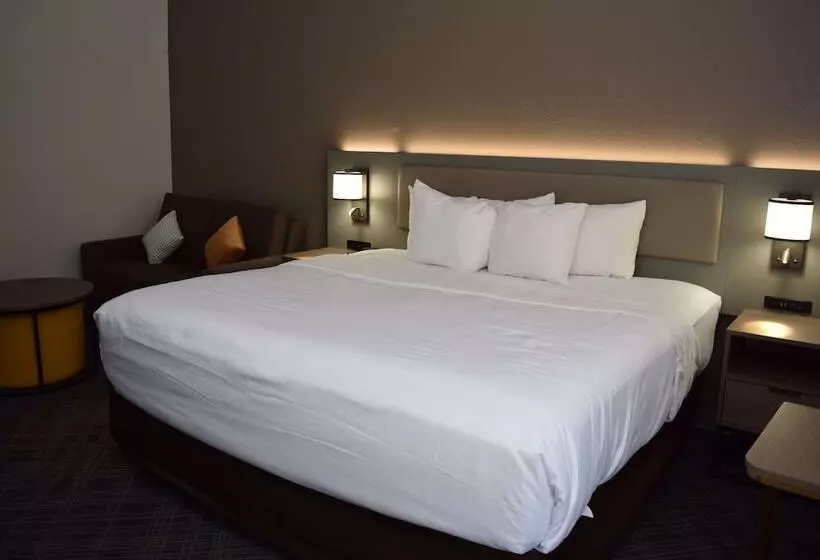 Отель Comfort Inn & Suites Syracusecarrier Circle