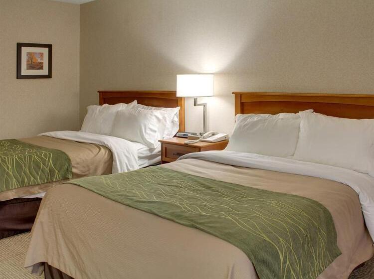 فندق Comfort Inn & Suites Syracusecarrier Circle