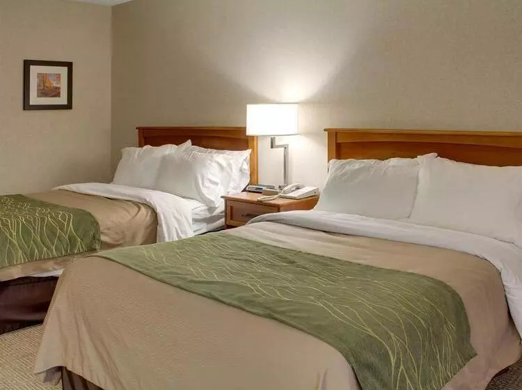 Отель Comfort Inn & Suites Syracusecarrier Circle