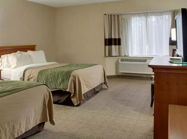 Отель Comfort Inn & Suites Syracusecarrier Circle