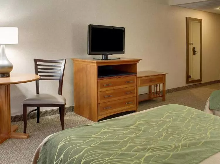 Отель Comfort Inn & Suites Syracusecarrier Circle