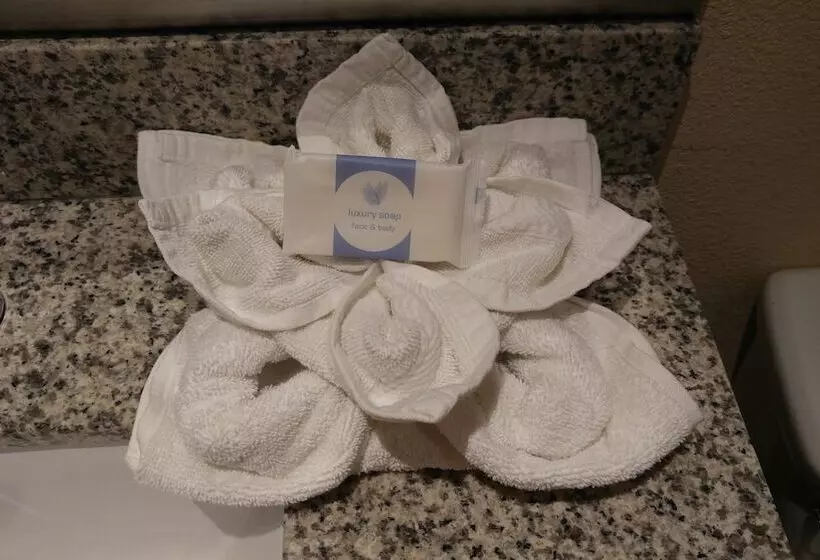 فندق Surf City Inn & Suites