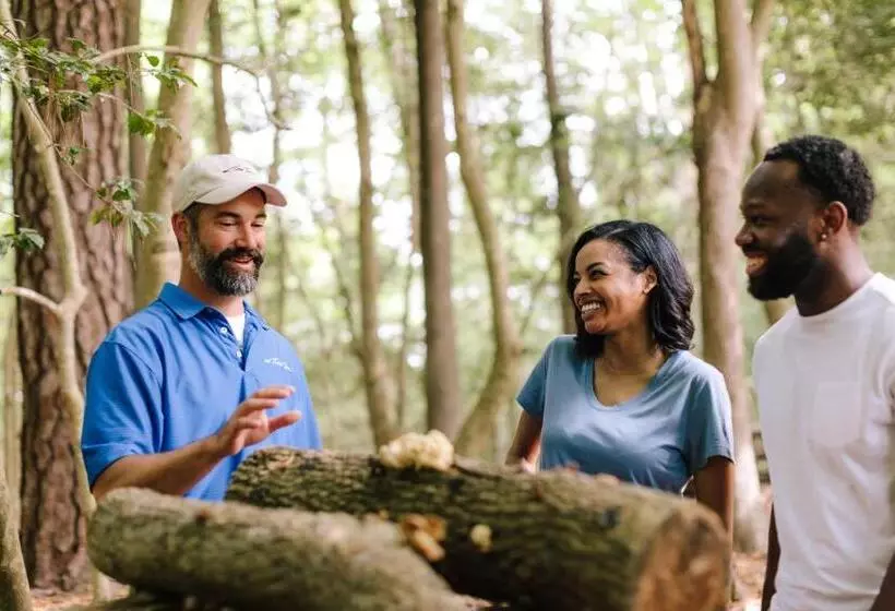 ホテル The Tides Inn