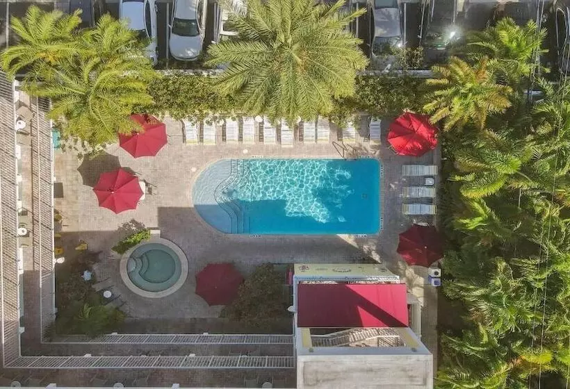 酒店 The Grand Resort And Spa