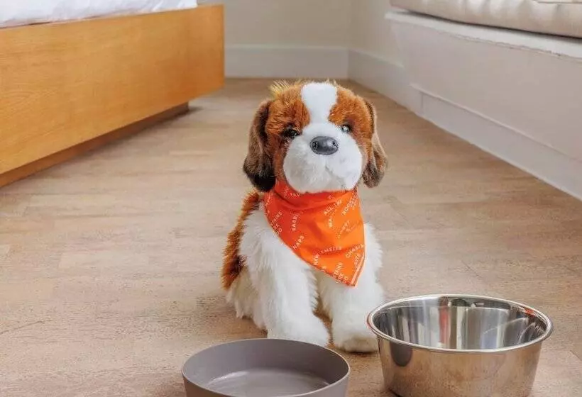 Отель Trailborn Rocky Mountains