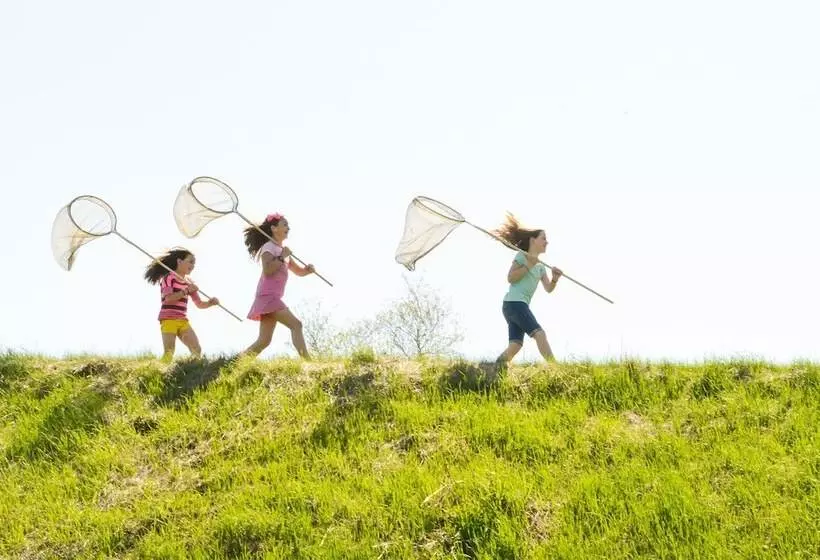 فندق Trapp Family Lodge
