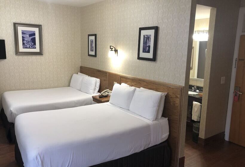 فندق Windsor Inn