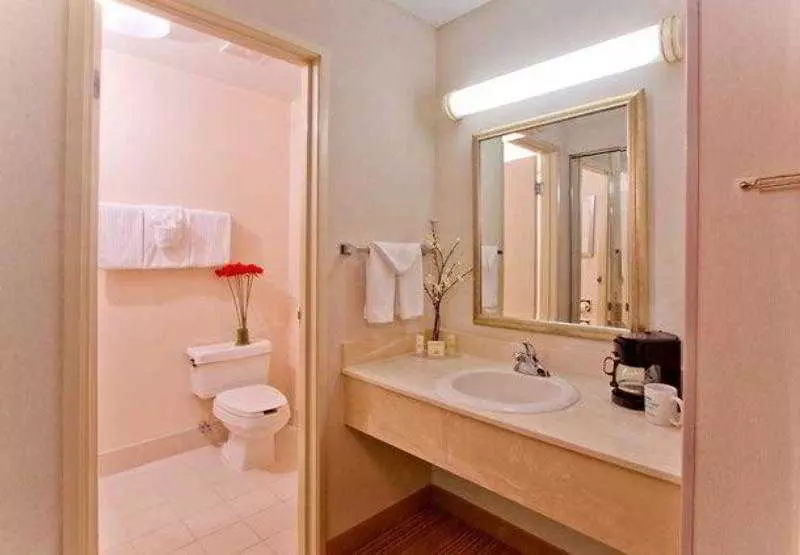 Hotel Courtyard By Marriott Lansing