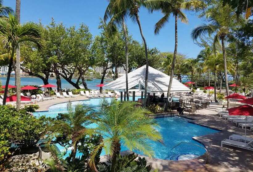 هتل The Condado Plaza