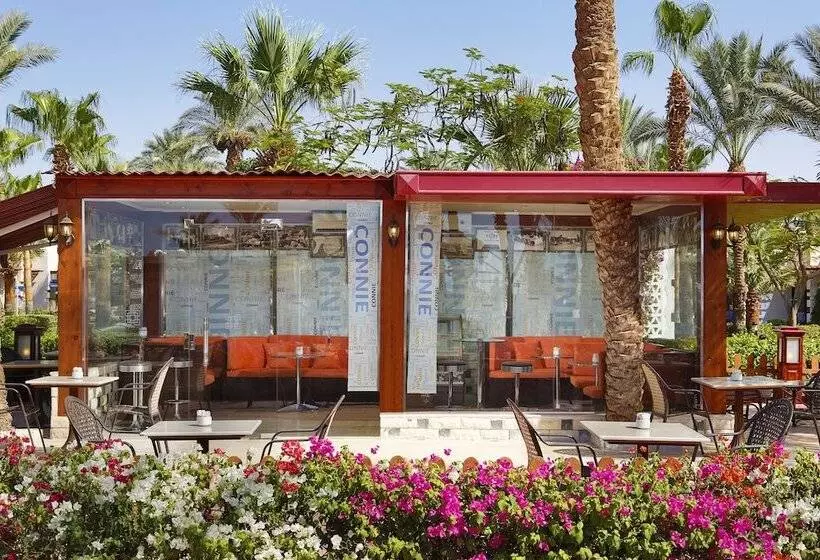 Курорт Jaz Fayrouz