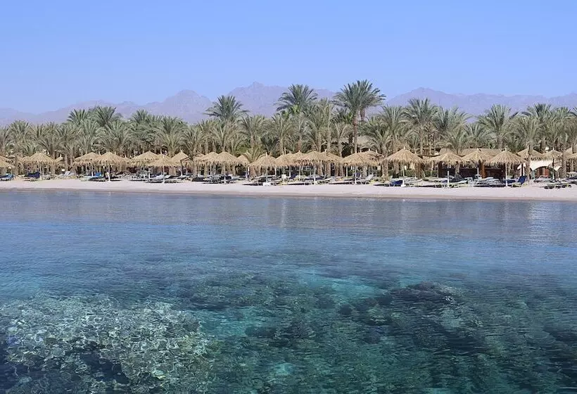 Курорт Jaz Fayrouz