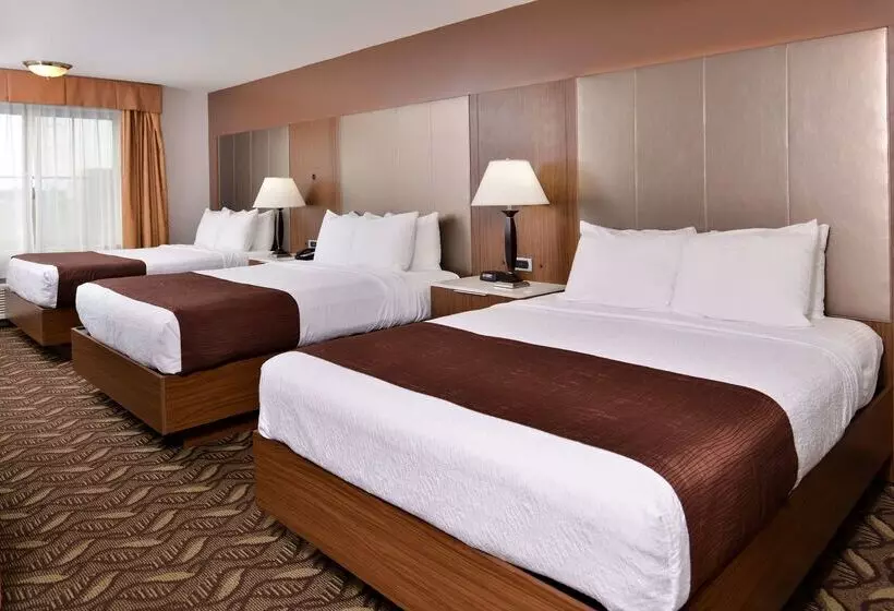 Best Western Airport Plaza Inn Hotel   Los Angeles Lax