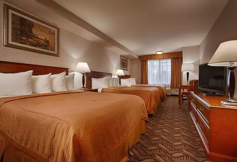 Best Western Airport Plaza Inn Hotel   Los Angeles Lax
