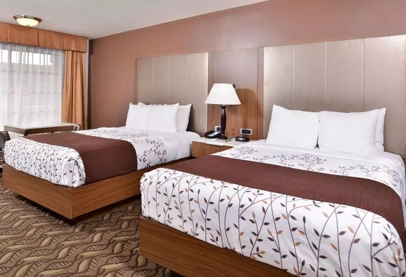 Best Western Airport Plaza Inn Hotel   Los Angeles Lax