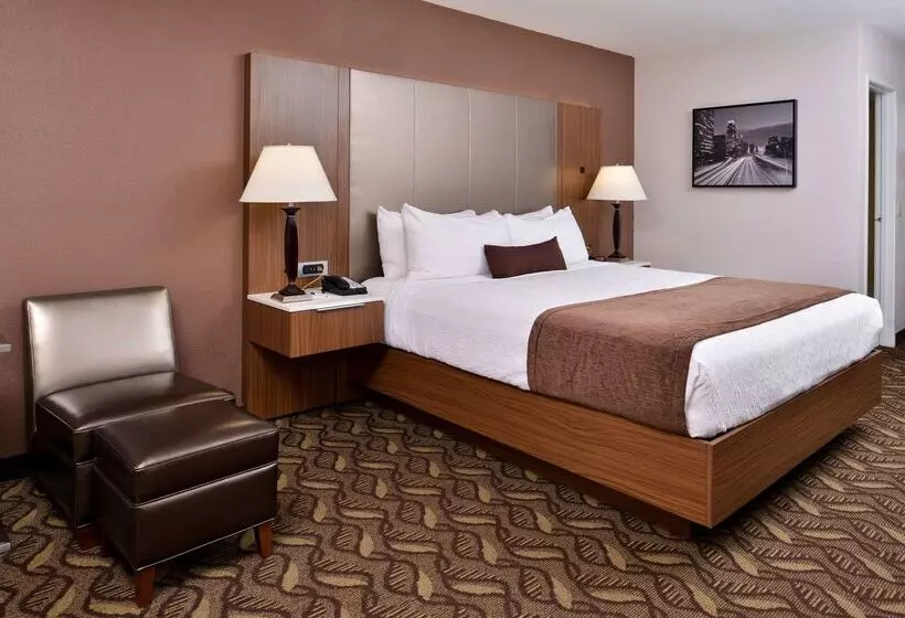 Best Western Airport Plaza Inn Hotel   Los Angeles Lax
