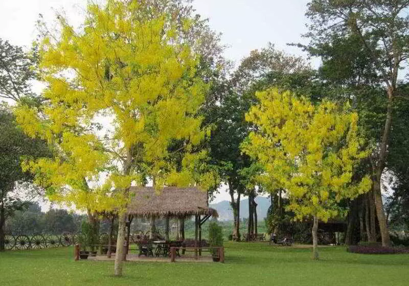 فندق Felix River Kwai Resort Sha Plus,certified