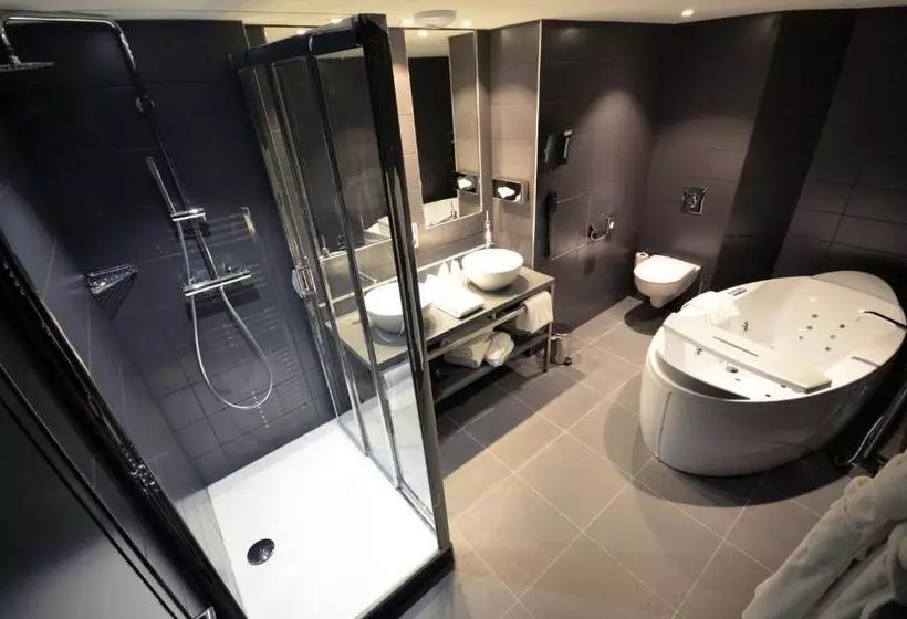 هتل Holiday Inn Dijon Toison D Or, An Ihg