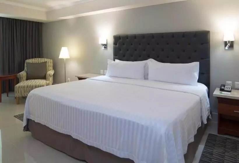 Otel Holiday Inn Tuxtla Gutierrez, An Ihg