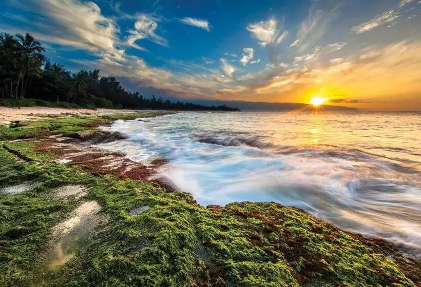 בית מלון כפרי Club Wyndham At Waikiki Beach Walk