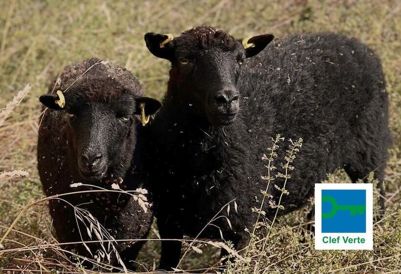 Novotel Lyon Bron Meeting & Events