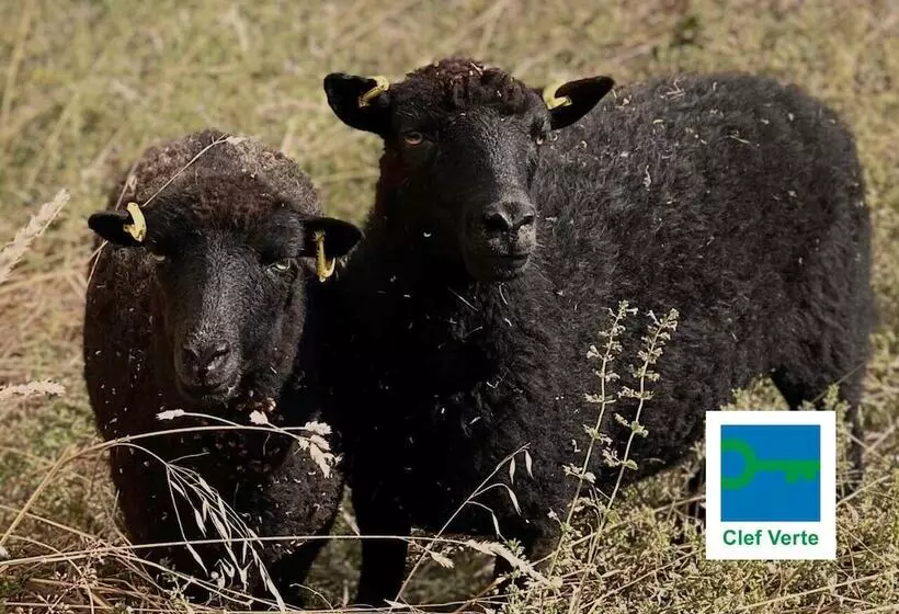 Novotel Lyon Bron Meeting & Events