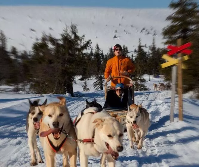 Sälens Högfjällshotell