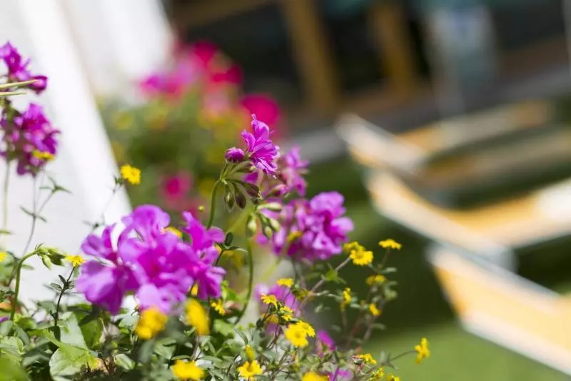 Alpenhotel Weitlanbrunn