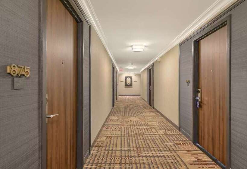 فندق Capital Hilton