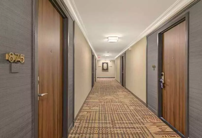 Отель Capital Hilton