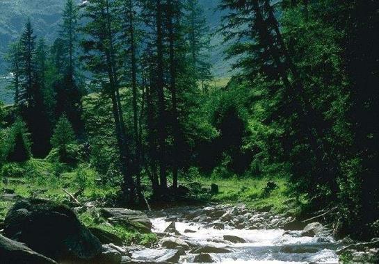 Отель Jagdschloss Graf Recke