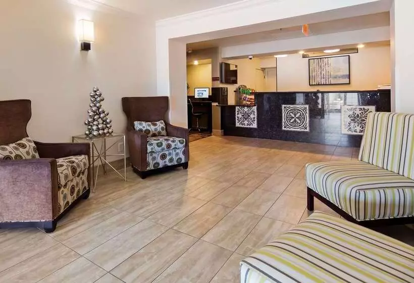 酒店 Best Western Executive Inn