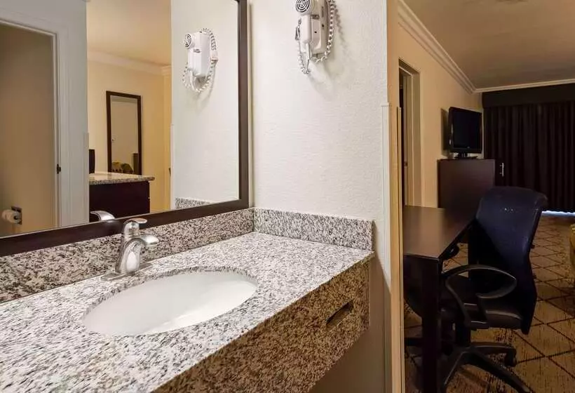 酒店 Best Western Executive Inn