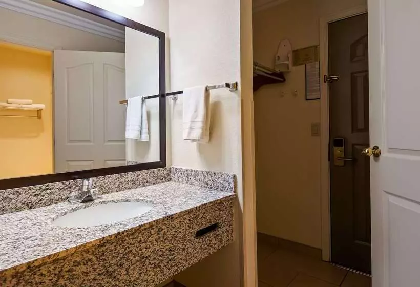 酒店 Best Western Executive Inn