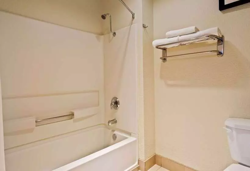 酒店 Best Western Executive Inn