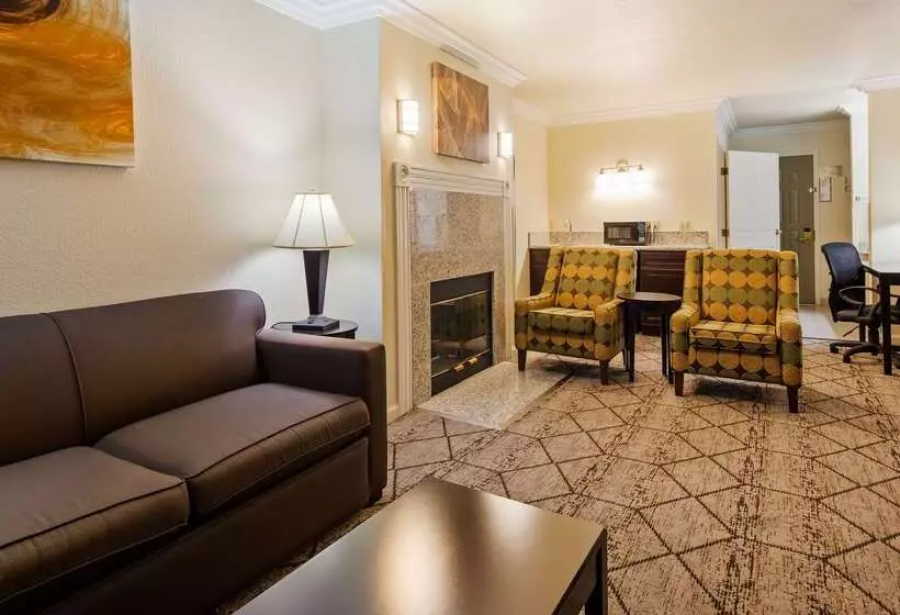 酒店 Best Western Executive Inn