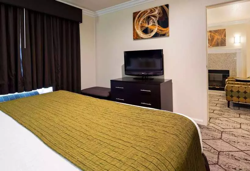 酒店 Best Western Executive Inn