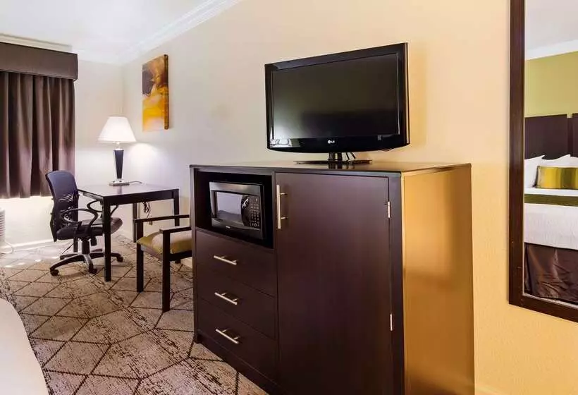 酒店 Best Western Executive Inn