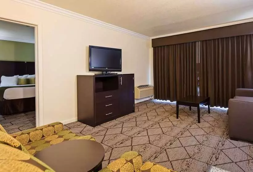 酒店 Best Western Executive Inn