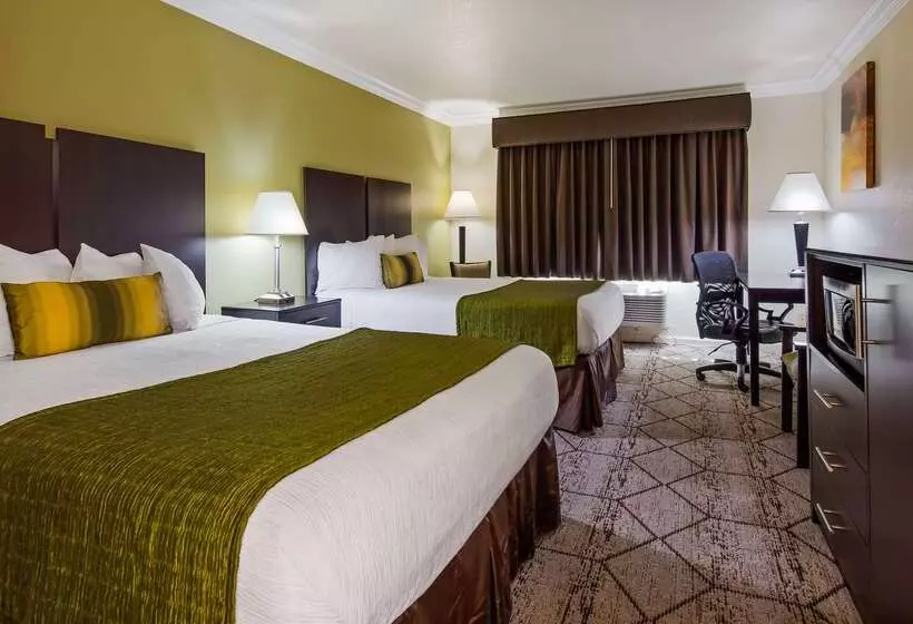 酒店 Best Western Executive Inn