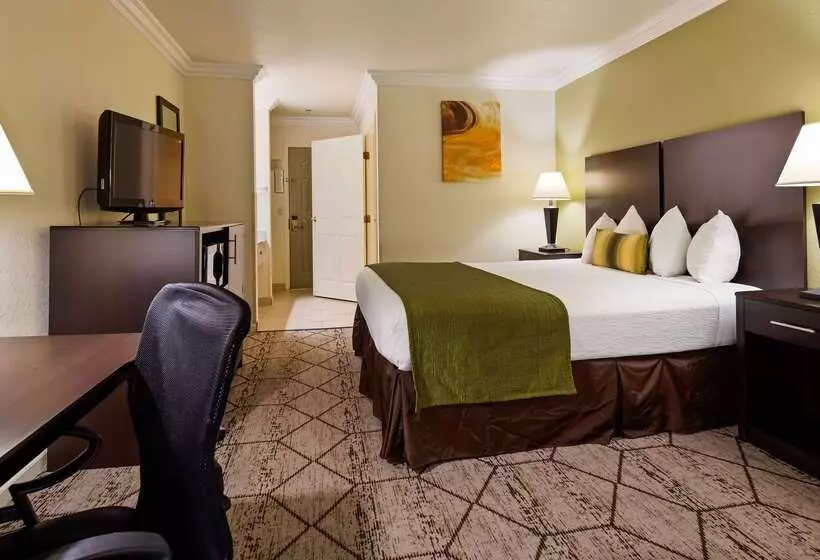 酒店 Best Western Executive Inn