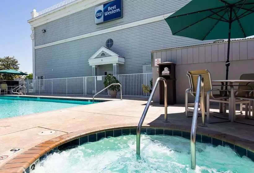 酒店 Best Western Executive Inn