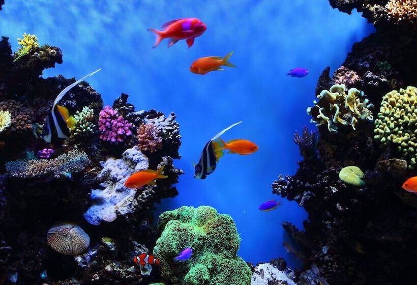 فندق Holiday Inn   Mississauga Toronto West, An Ihg