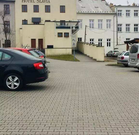 Отель Slavia