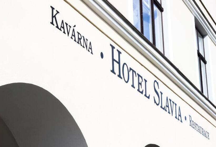호텔 Slavia