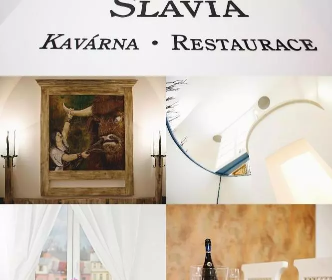 Отель Slavia