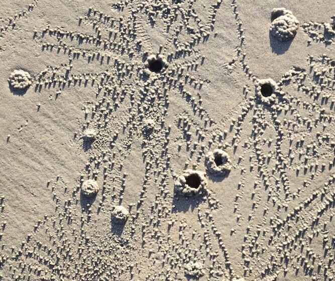 Hotel The Datai Langkawi