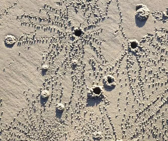 Hotel The Datai Langkawi