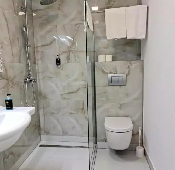 بنسيون Grand Vltavín