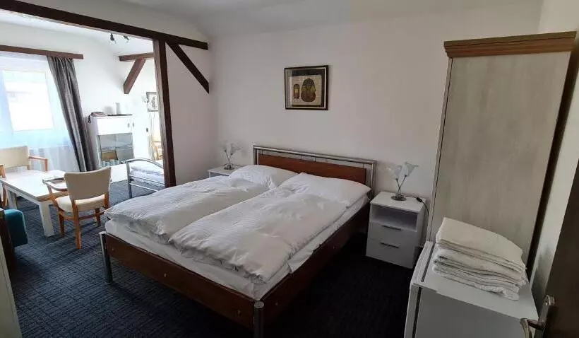 بنسيون Grand Vltavín