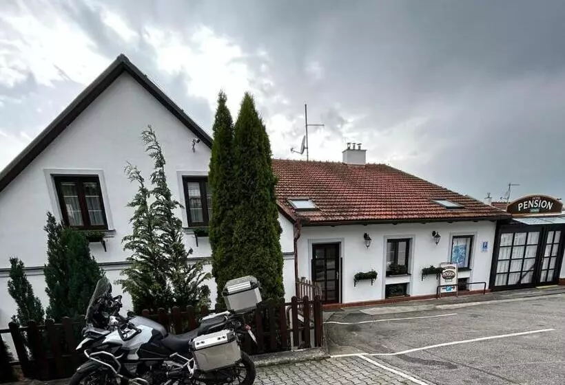 بنسيون Grand Vltavín